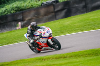 anglesey;brands-hatch;cadwell-park;croft;donington-park;enduro-digital-images;event-digital-images;eventdigitalimages;mallory;no-limits;oulton-park;peter-wileman-photography;racing-digital-images;silverstone;snetterton;trackday-digital-images;trackday-photos;vmcc-banbury-run;welsh-2-day-enduro